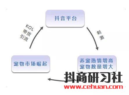 当抖音短视频带货成为潮流，抖音会成为下一个淘宝吗？插图