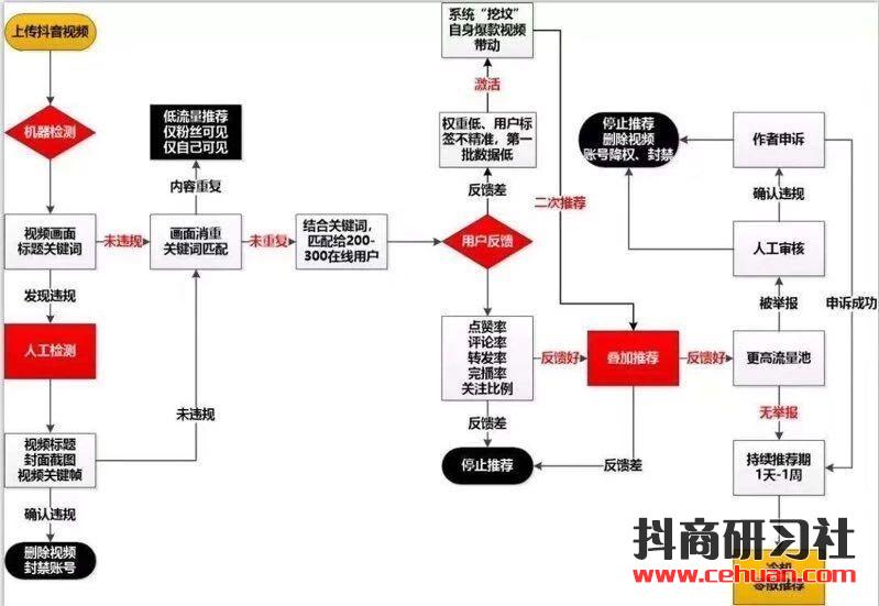 打造1000万+播放量的抖音短视频，你至少要做到这4点！插图3