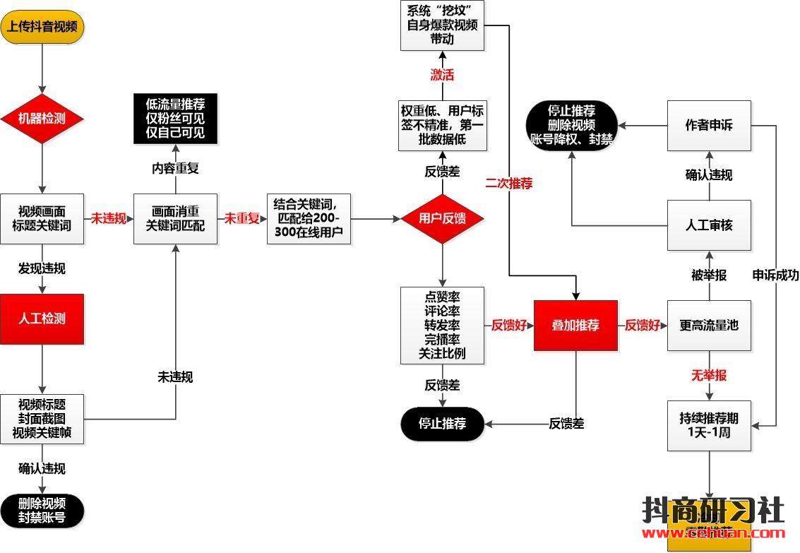 抖音运营技巧：如何从零开始做一个赚钱的抖音号？插图5