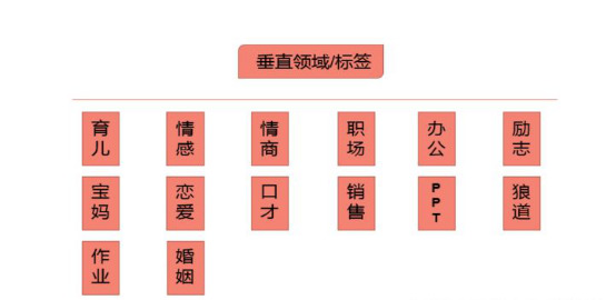 抖音内容打标签方法，抖音标签是什么？插图