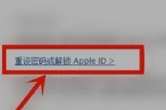 苹果id刚注册被锁定怎么办，苹果id被锁输入密码进得去吗