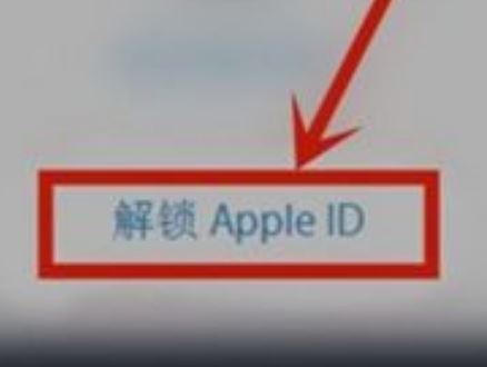 苹果id刚注册被锁定怎么办，苹果id被锁输入密码进得去吗