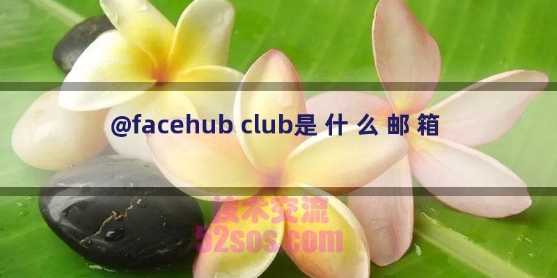 @facehub club是什么邮箱插图