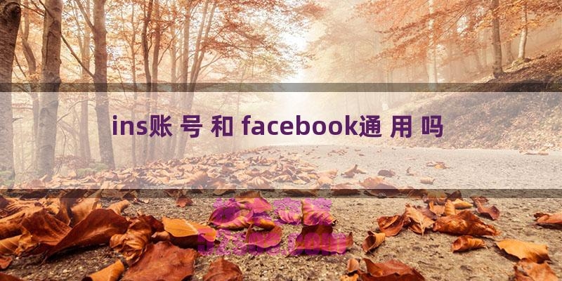 ins账号和facebook通用吗插图