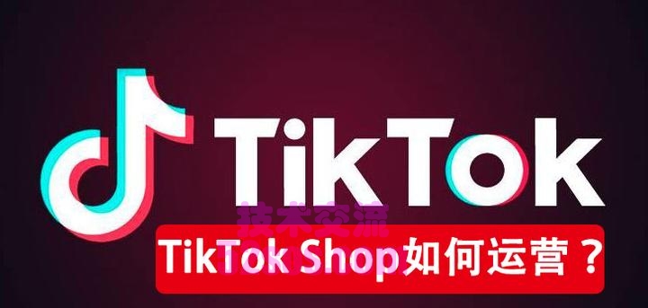 tiktok小店新上架商品,不能送到该地区插图