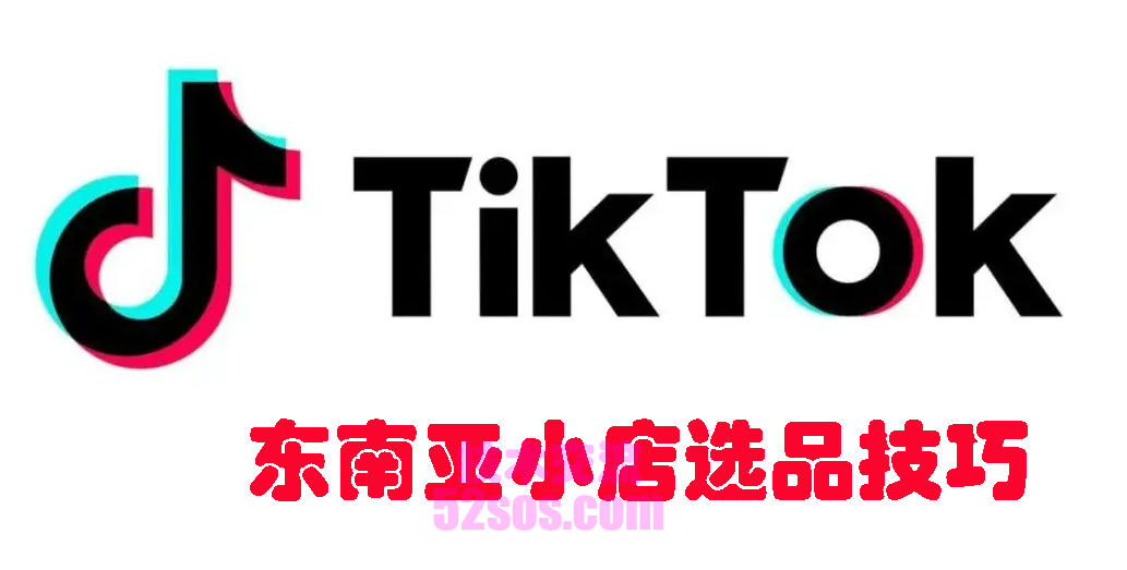 tiktok小店东南亚,第三方平台资质要求是什么插图