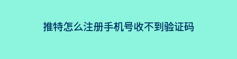 推特怎么注册手机号收不到验证码插图